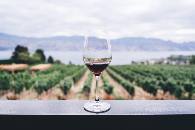 In cautarea celui mai bun vin romanesc