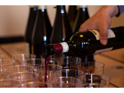 Ce inseamna fiecare tip de vin? SEC / DEMISEC / DEMIDULCE / DULCE