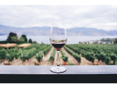 In cautarea celui mai bun vin romanesc