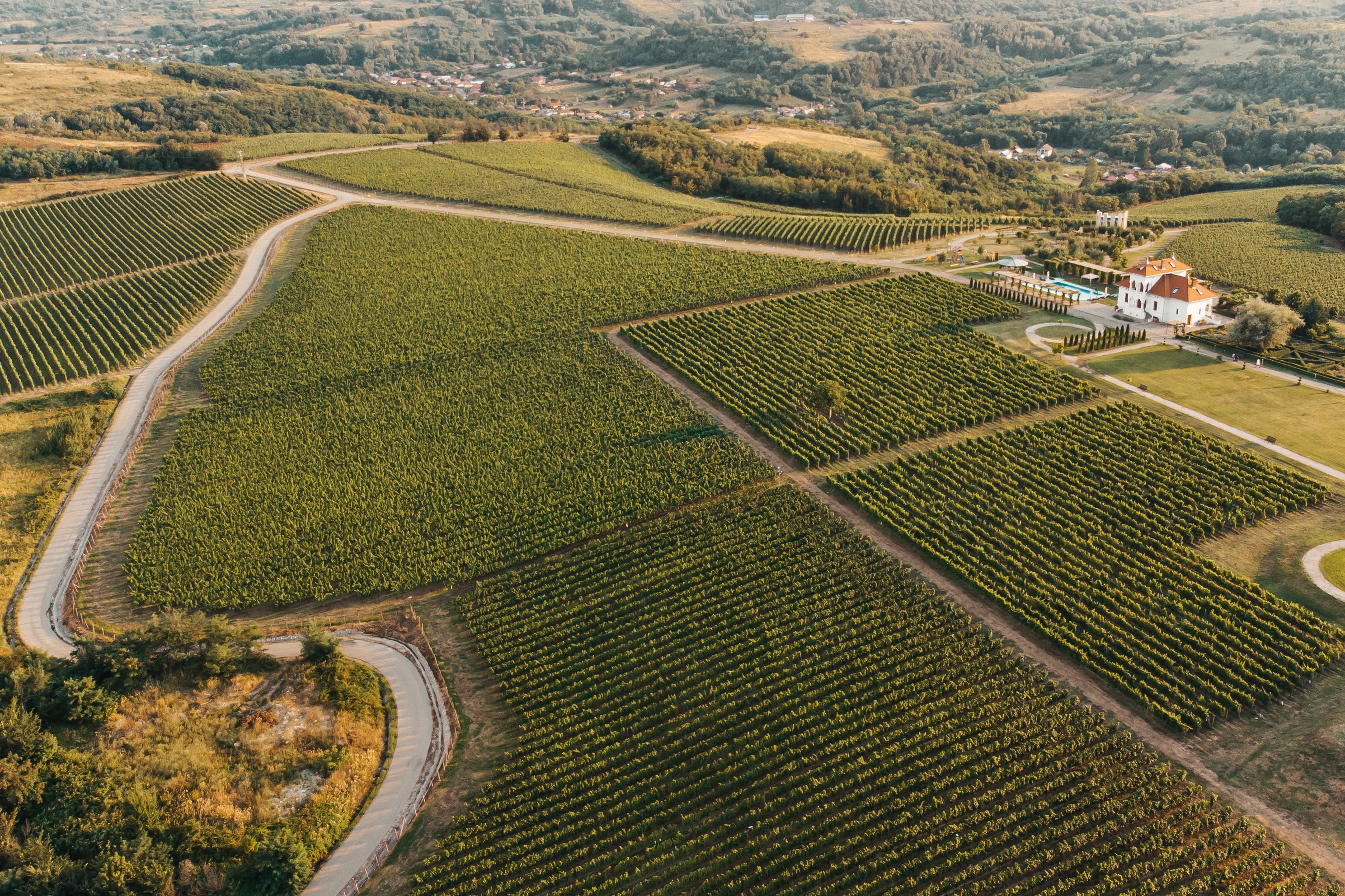 Terroir-ul și originea vinului