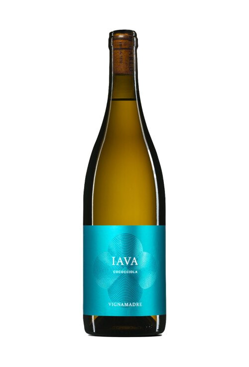Vignamadre IAVA Cococciola