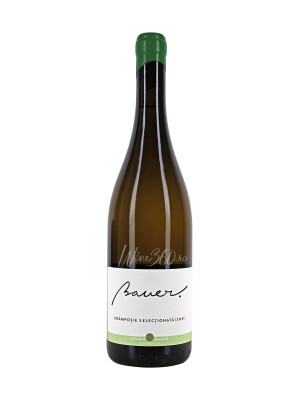 Bauer - Cramposie Selectionata - 2024 - SGR